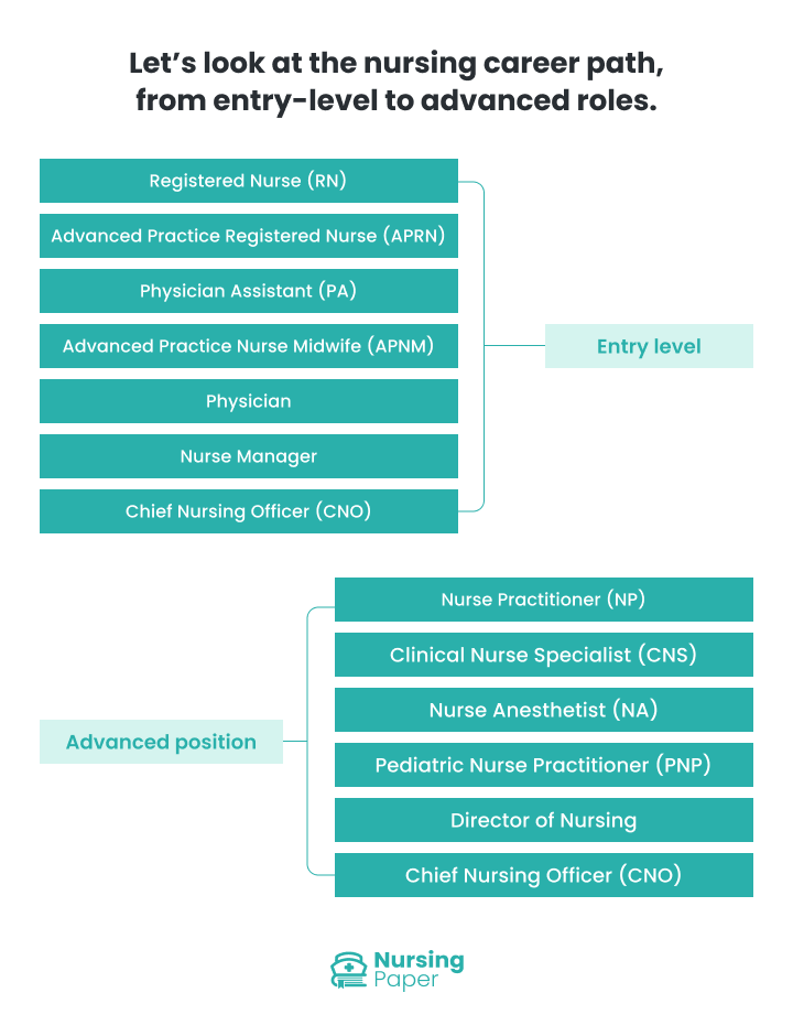 nursing career paths