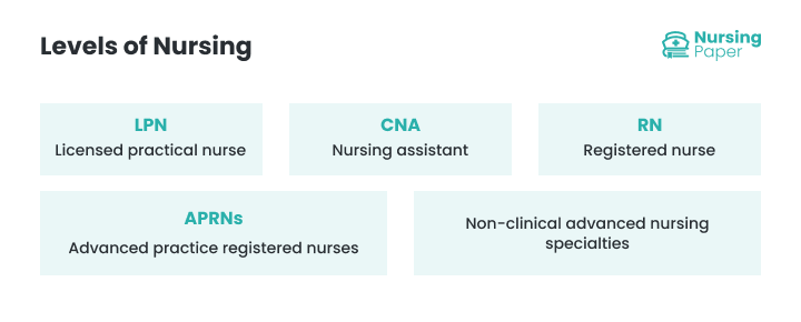 levels of nursing